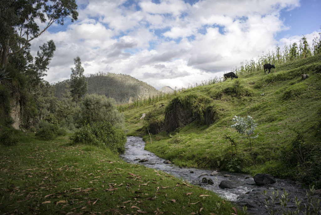 Ecuador Travel: Pushing Past Pizza in Quito