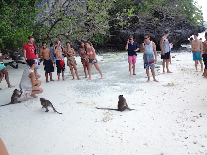 monkeys in monkey bay thailand