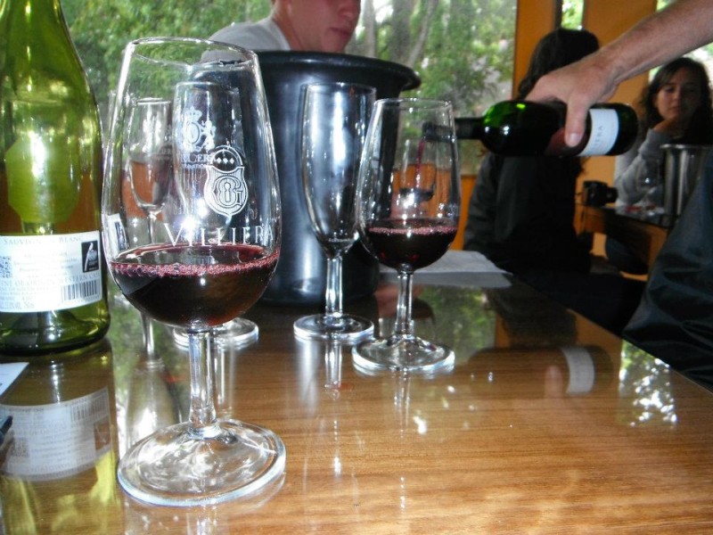 South African Wine Tasting: A Vine Romance