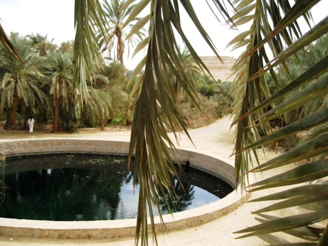 Cleopatra Spring, my daily swimming pool