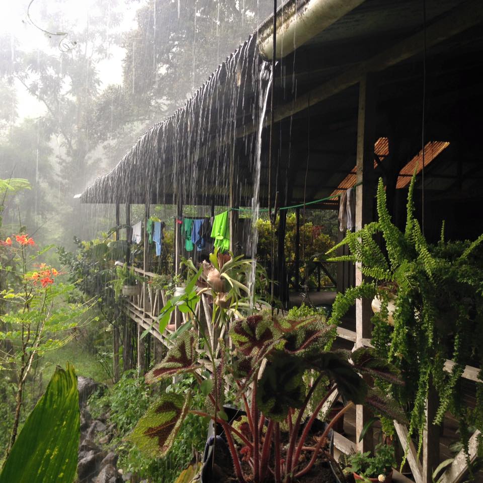 Domestic Goddess and Cattle Herder: My Homestay in Costa Rica
